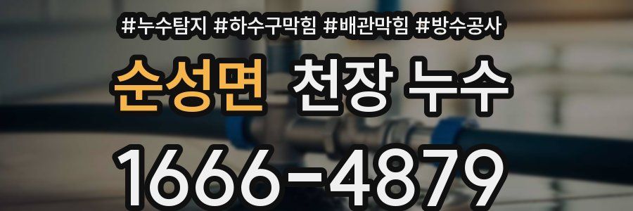 순성면 천장 누수
