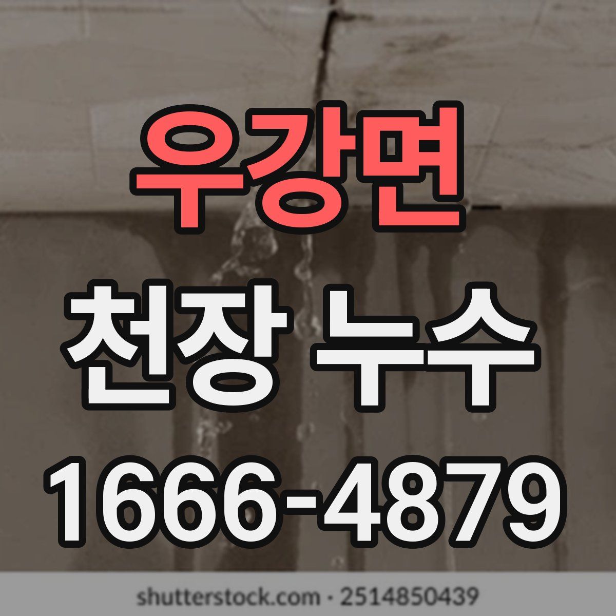 우강면 천장 누수