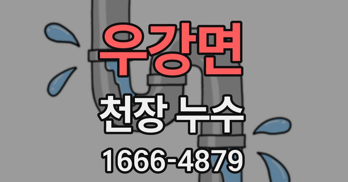 우강면 천장 누수