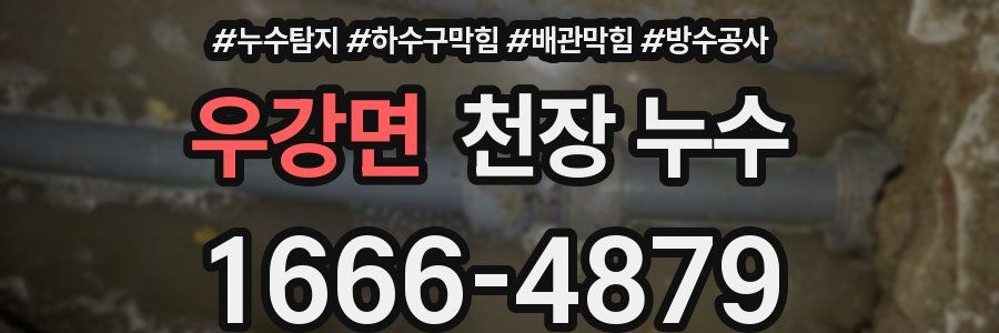 우강면 천장 누수