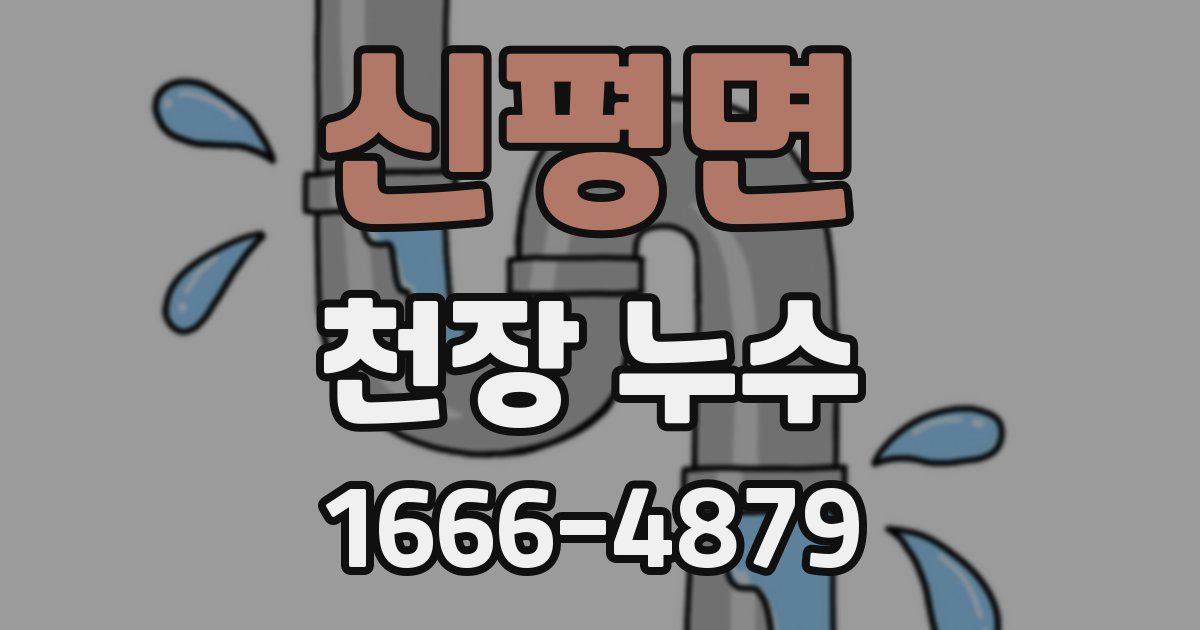 신평면 천장 누수