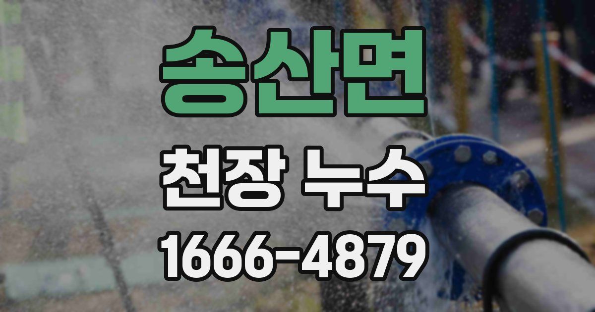 송산면 천장 누수