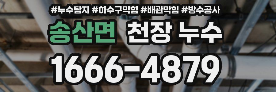 송산면 천장 누수