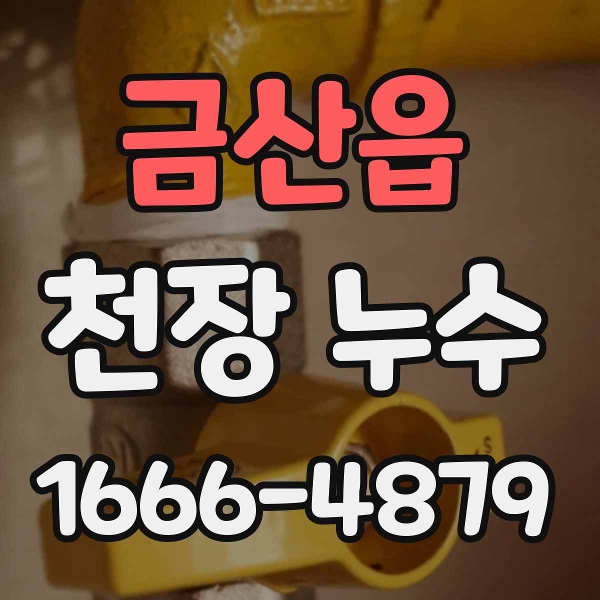 금산읍 천장 누수