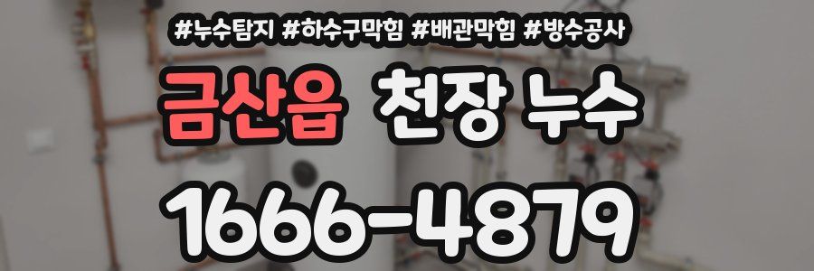 금산읍 천장 누수