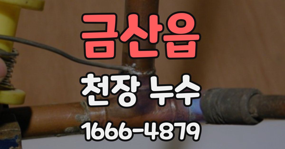 금산읍 천장 누수