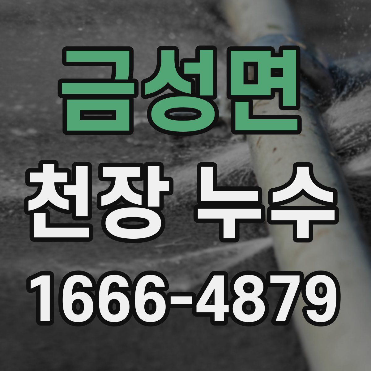 금성면 천장 누수