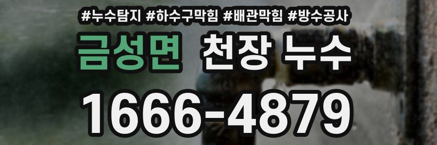 금성면 천장 누수