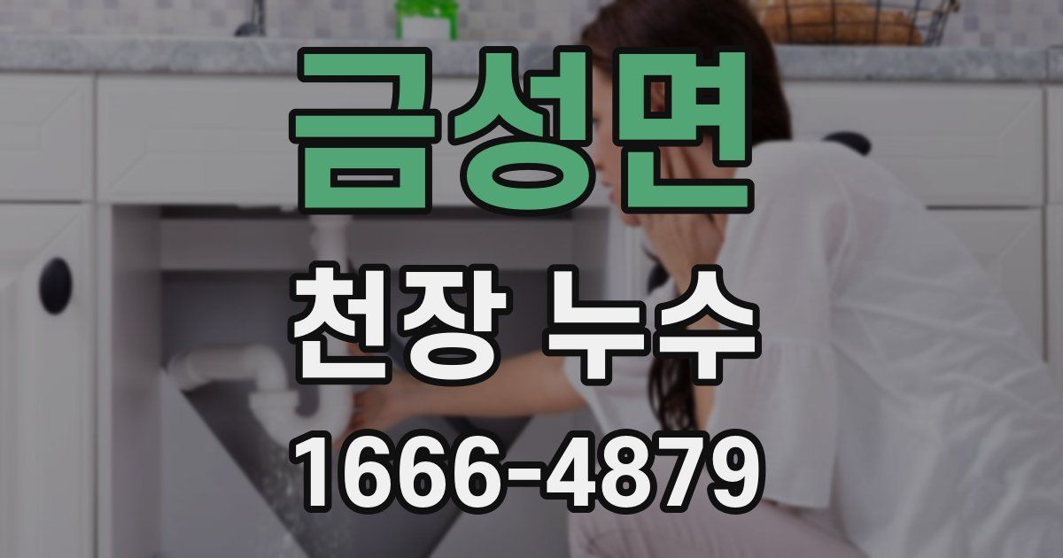금성면 천장 누수