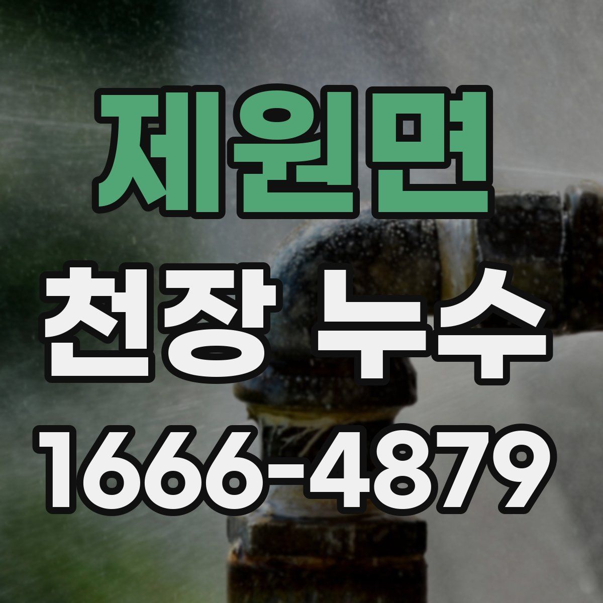 제원면 천장 누수