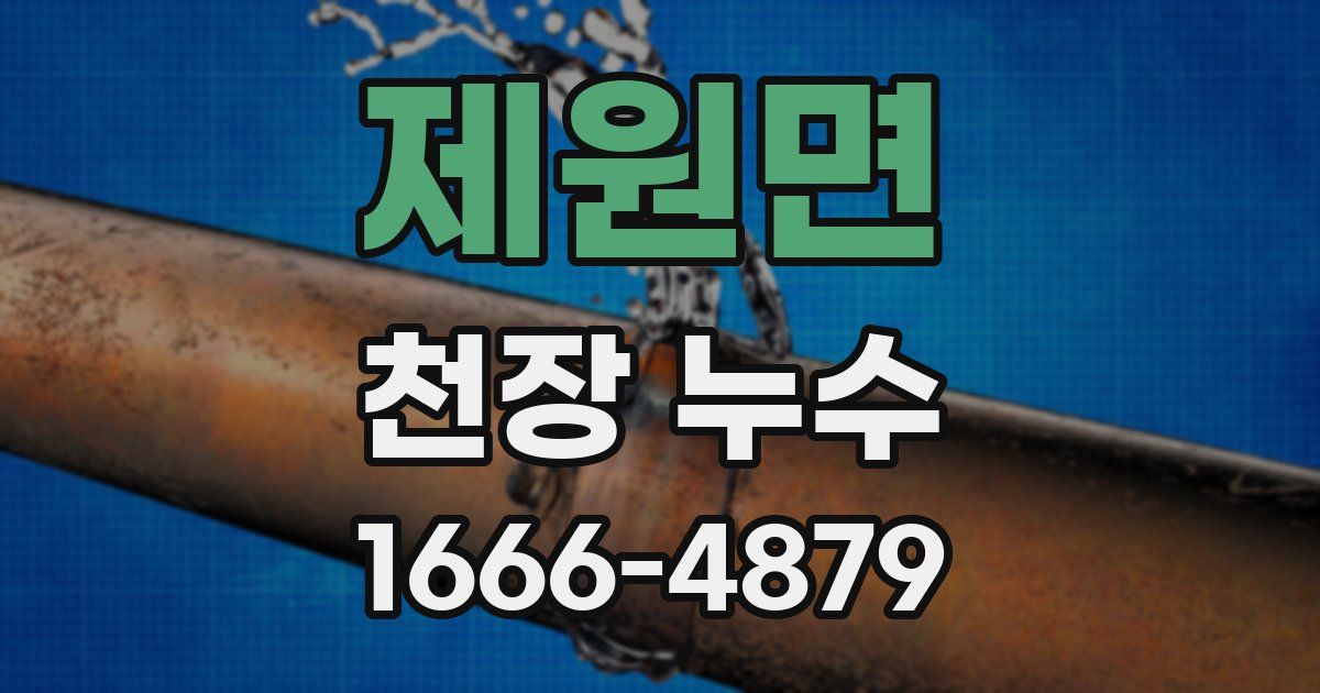 제원면 천장 누수