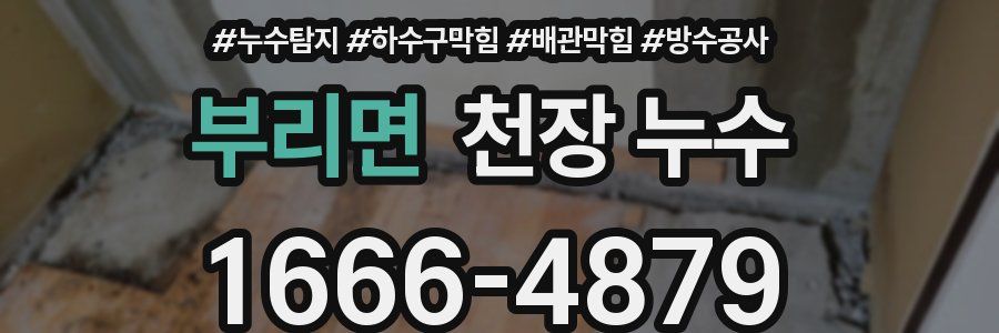 부리면 천장 누수