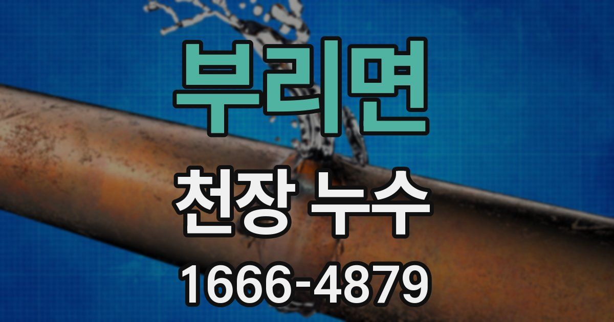 부리면 천장 누수