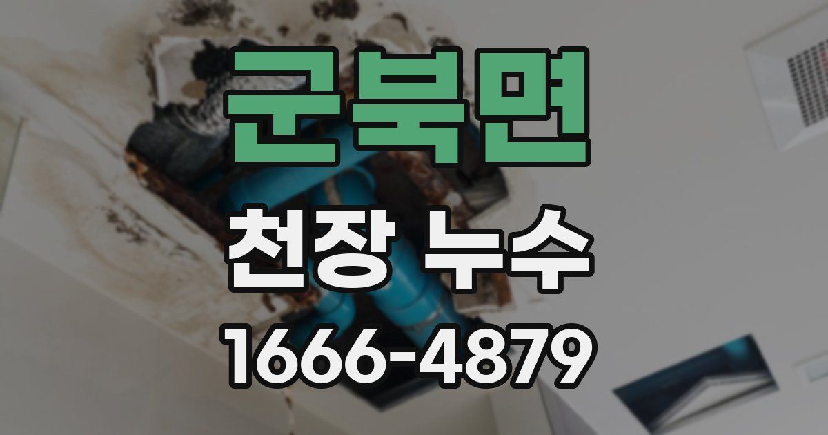 군북면 천장 누수