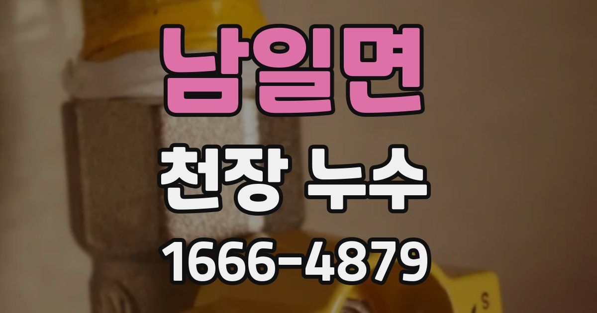 남일면 천장 누수