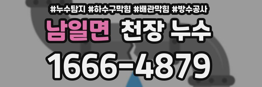 남일면 천장 누수
