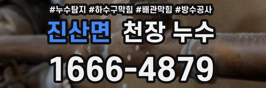 진산면 천장 누수