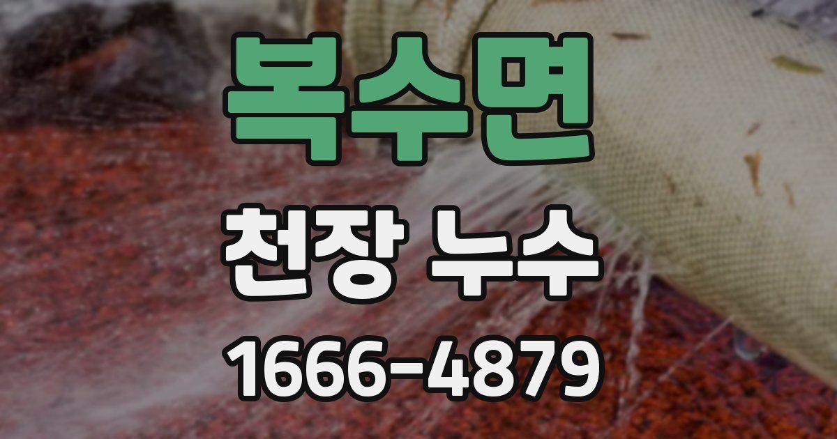 복수면 천장 누수
