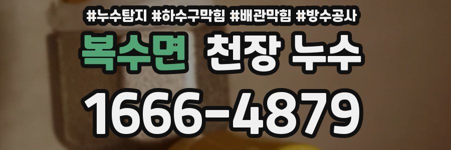 복수면 천장 누수