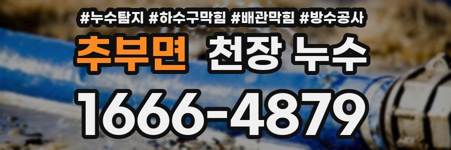 추부면 천장 누수
