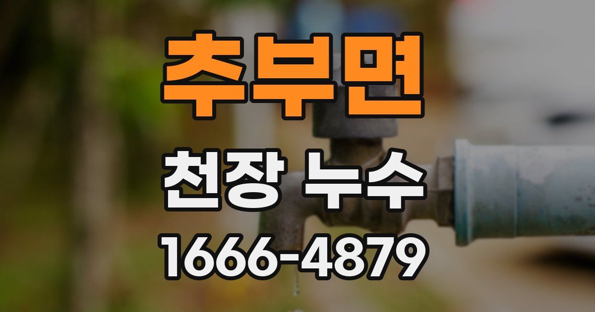 추부면 천장 누수