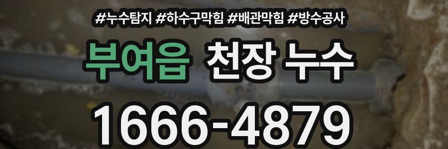 부여읍 천장 누수