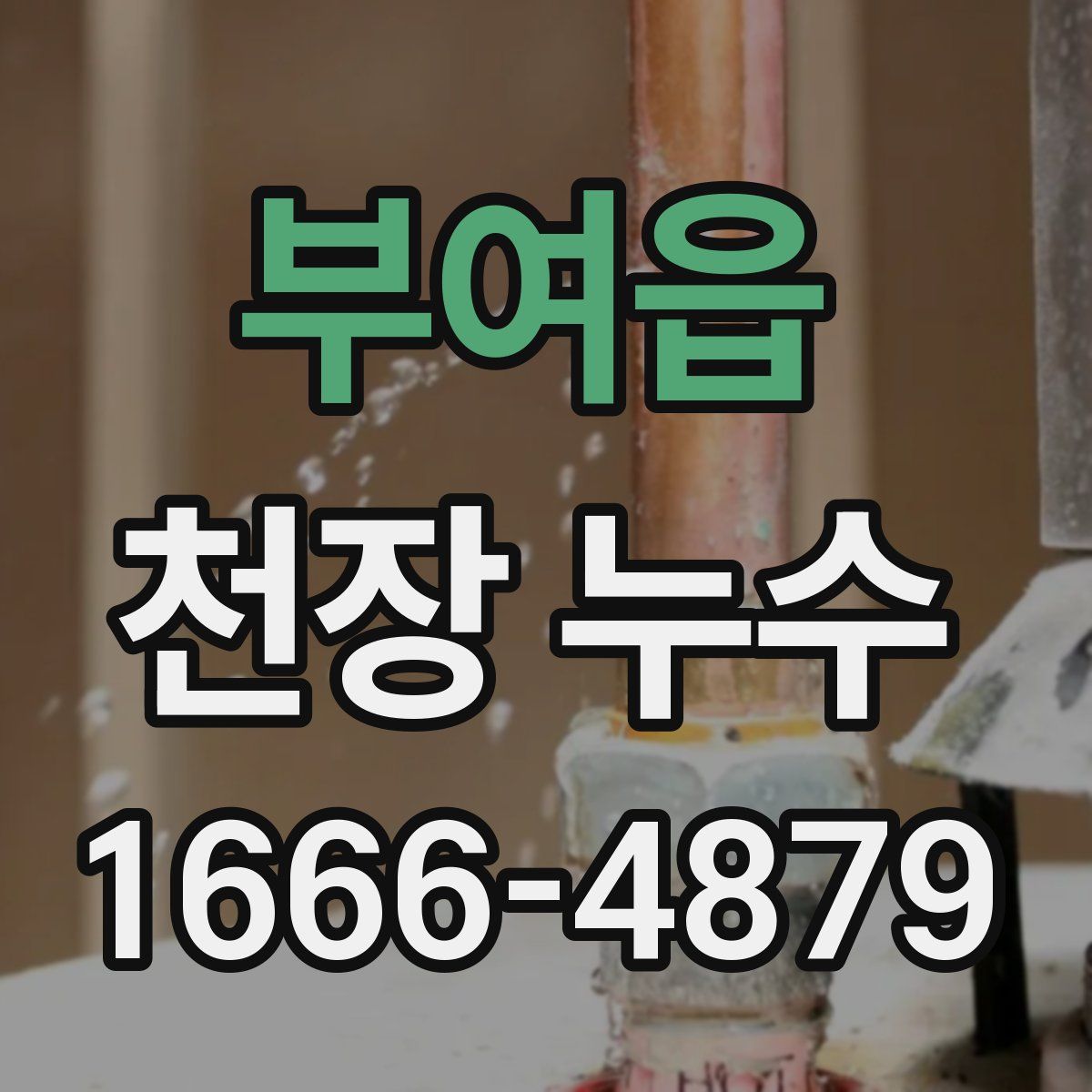 부여읍 천장 누수