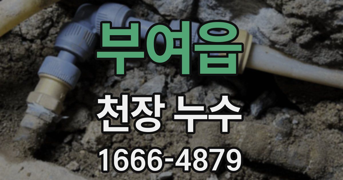 부여읍 천장 누수