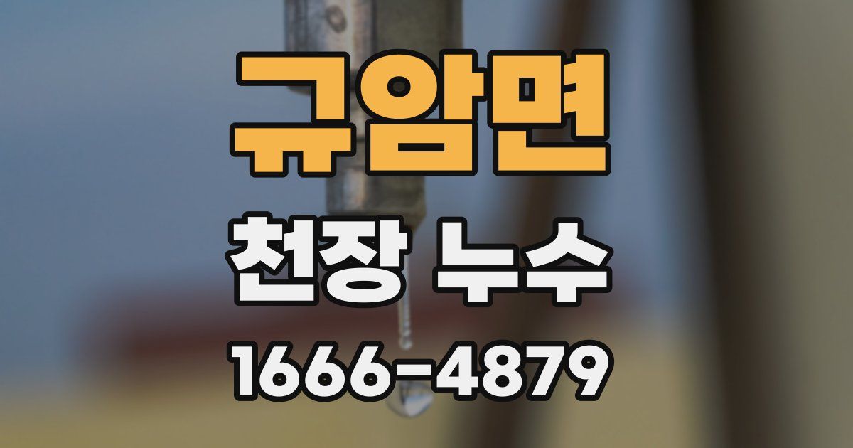 규암면 천장 누수
