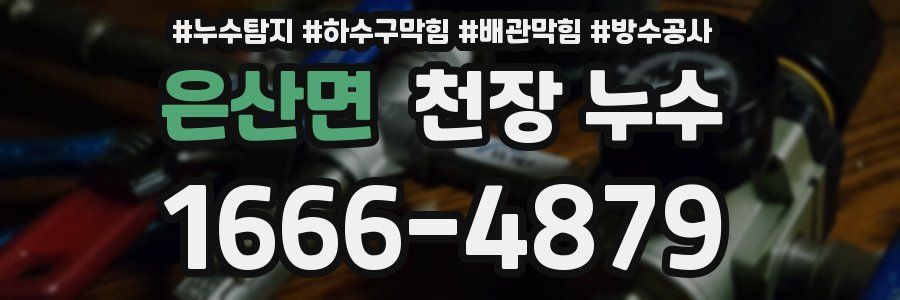 은산면 천장 누수