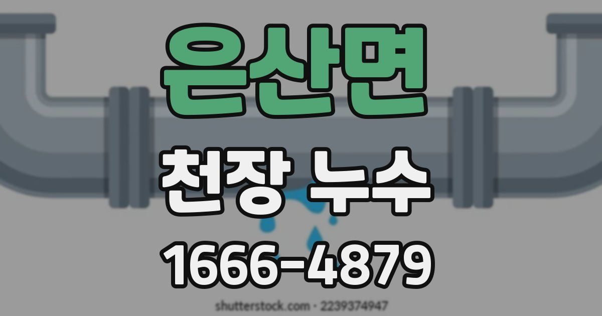 은산면 천장 누수