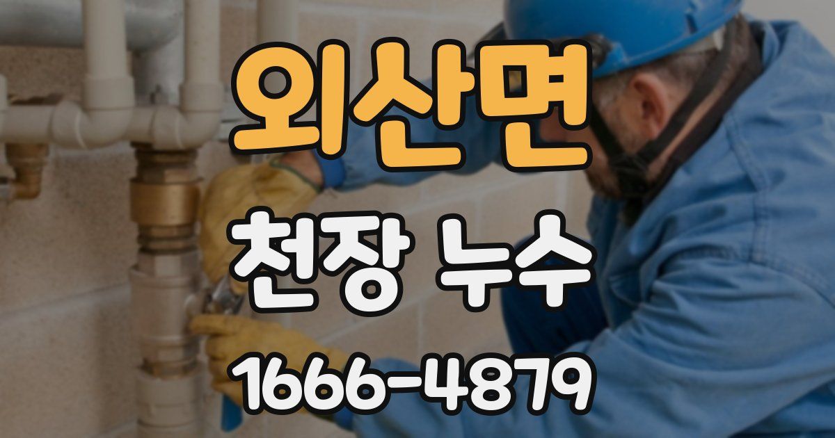 외산면 천장 누수