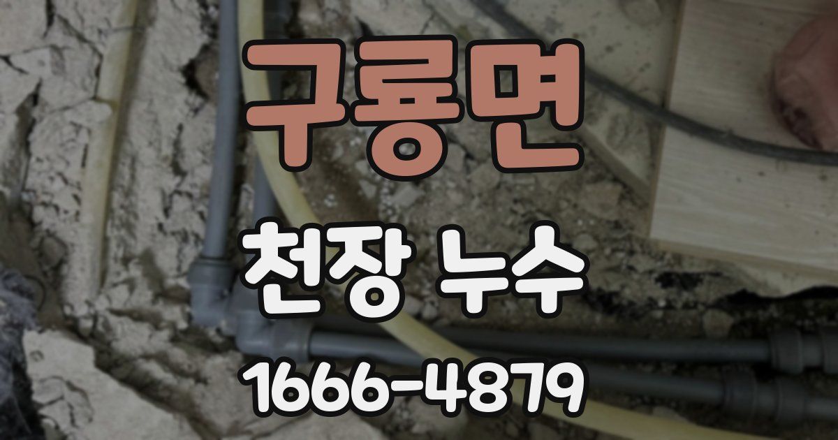 구룡면 천장 누수