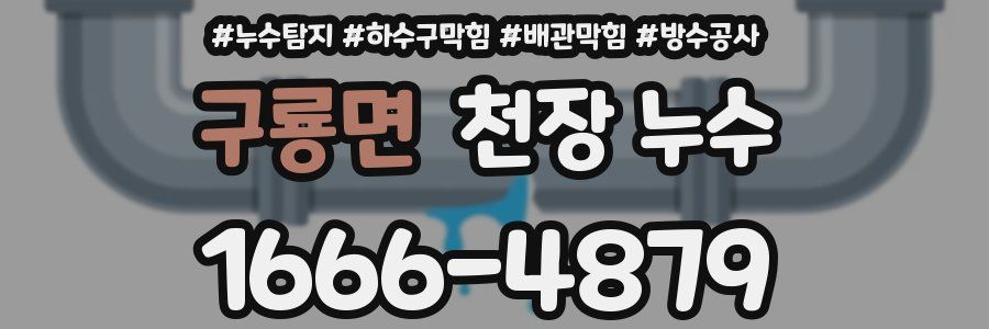 구룡면 천장 누수