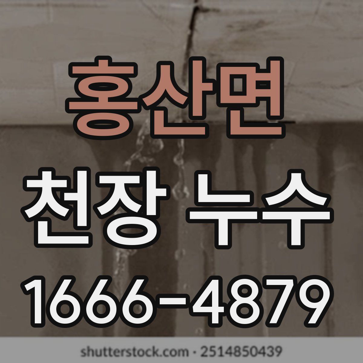 홍산면 천장 누수
