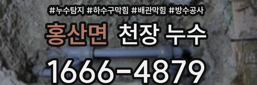 홍산면 천장 누수