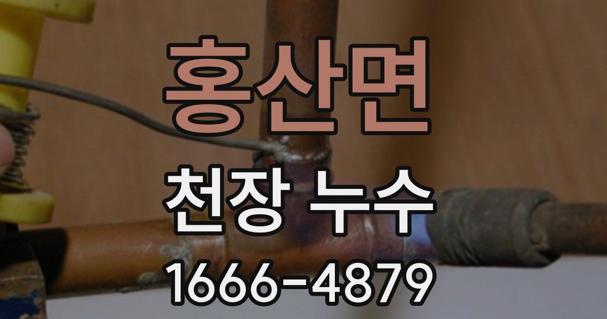 홍산면 천장 누수
