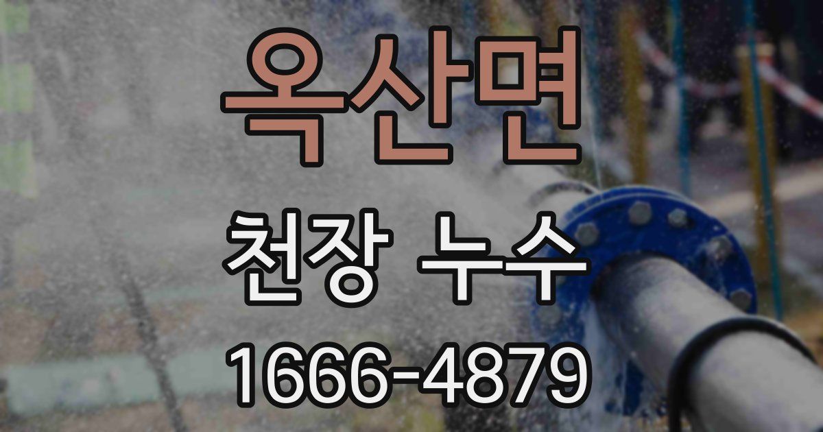 옥산면 천장 누수
