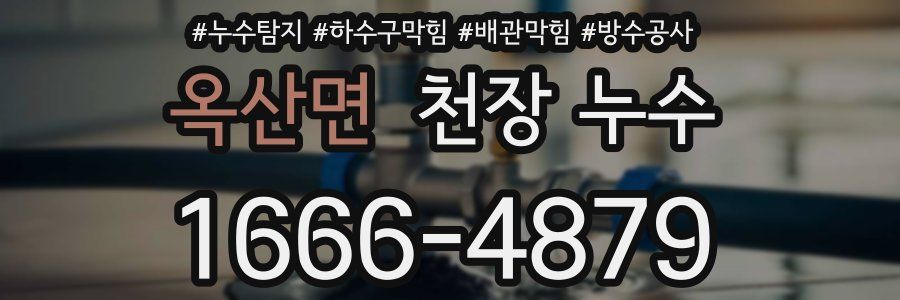 옥산면 천장 누수