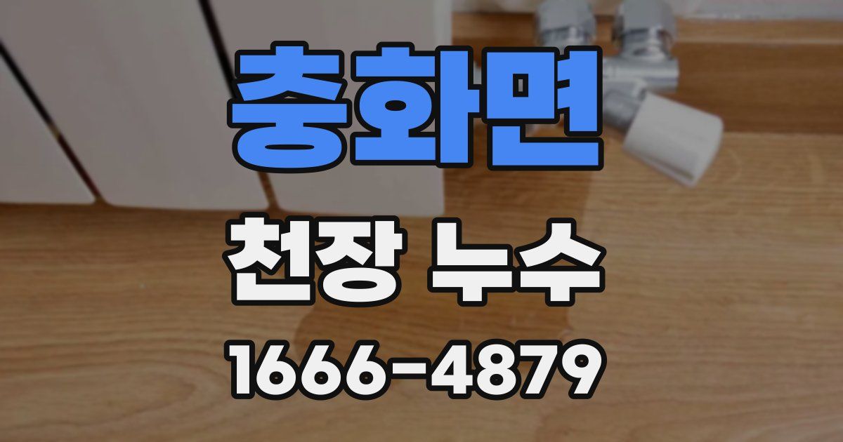 충화면 천장 누수