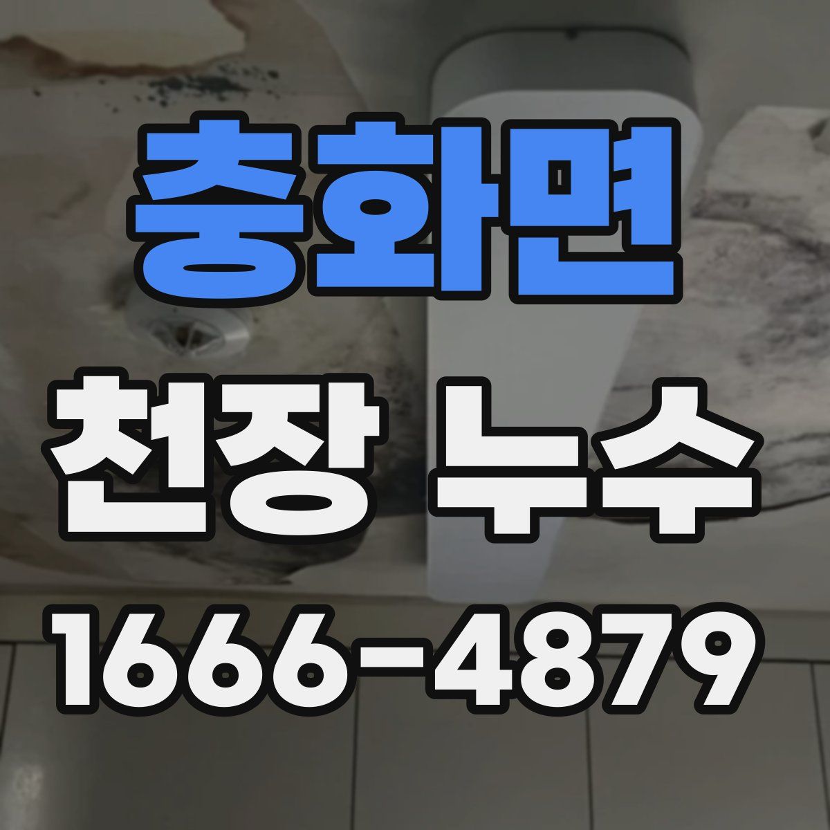 충화면 천장 누수