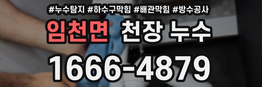 임천면 천장 누수