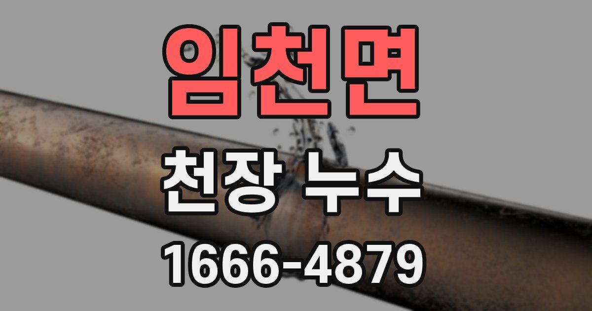 임천면 천장 누수