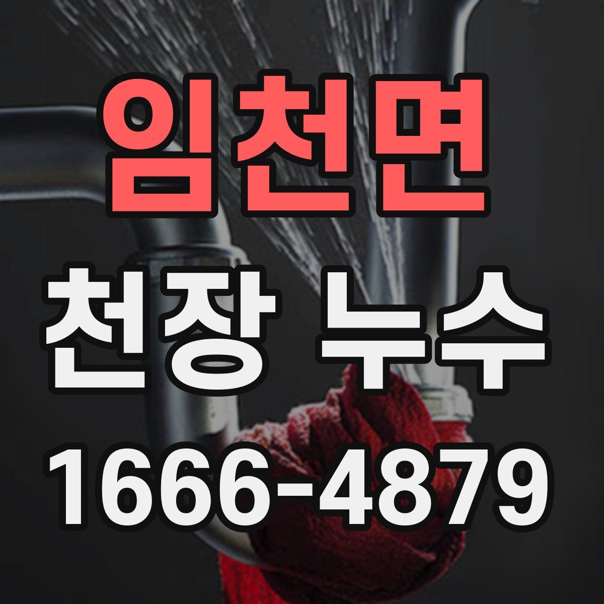 임천면 천장 누수