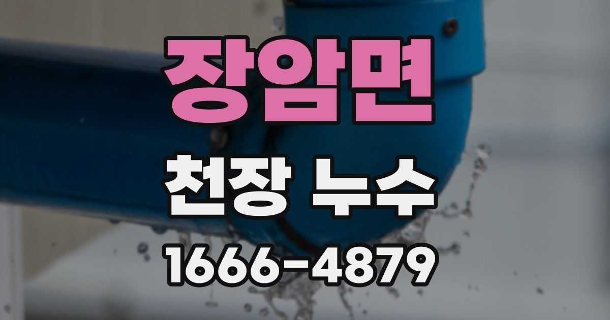 장암면 천장 누수