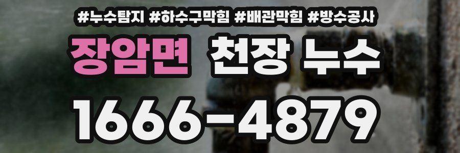 장암면 천장 누수