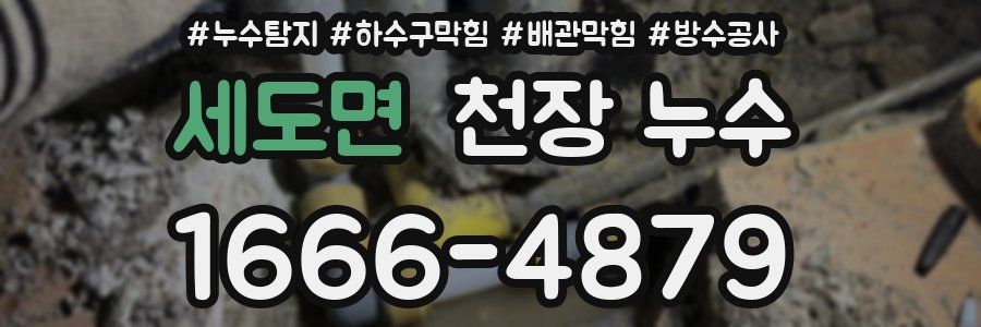 세도면 천장 누수