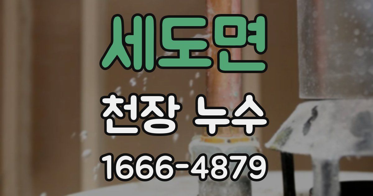 세도면 천장 누수