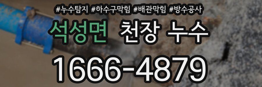 석성면 천장 누수