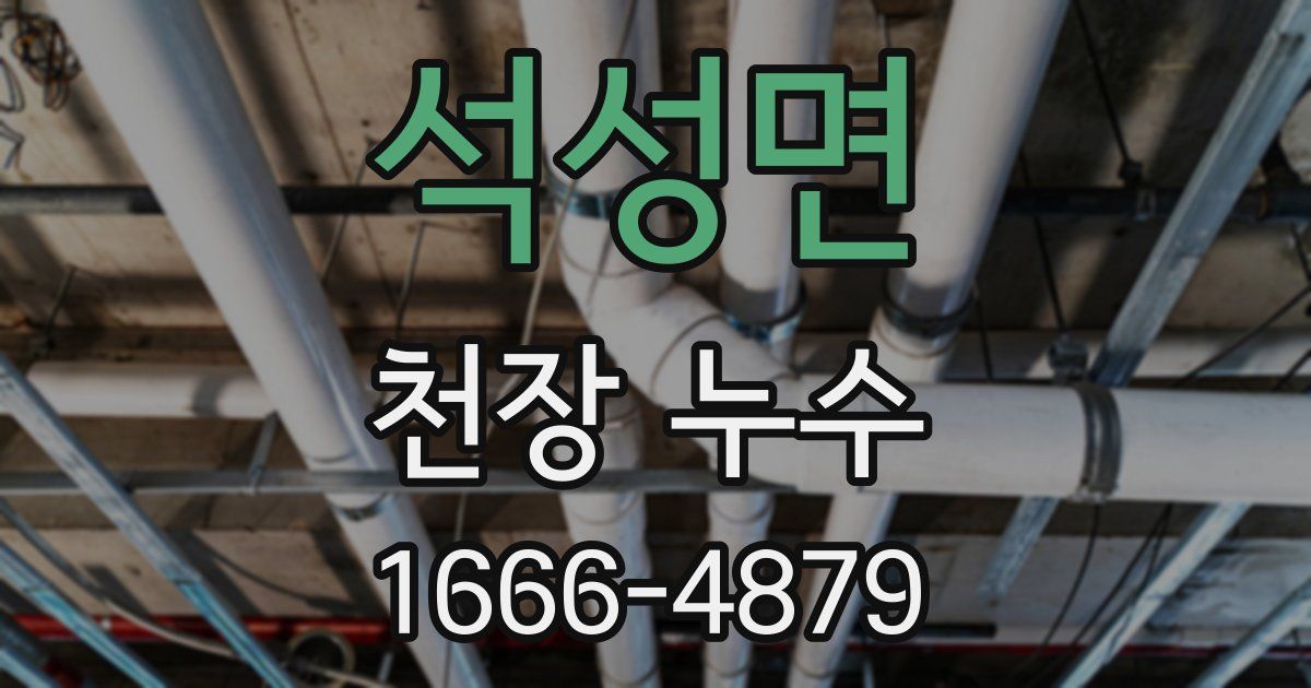 석성면 천장 누수